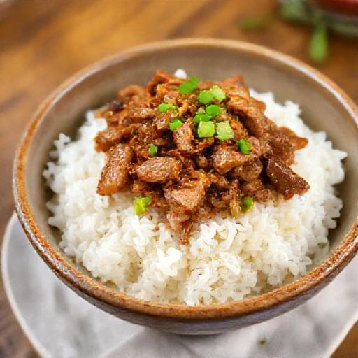 简易快手肉燥饭